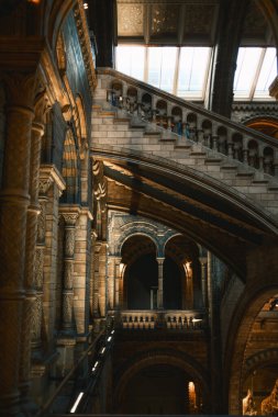 Doğa Tarihi Müzesinin Gotik Mimarisi . 