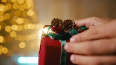 Bir el nazikçe kozalaklı, kırmızı böğürtlenli ve yeşil kurdeleli el yapımı bir Noel hediyesi kutusu tutuyor..