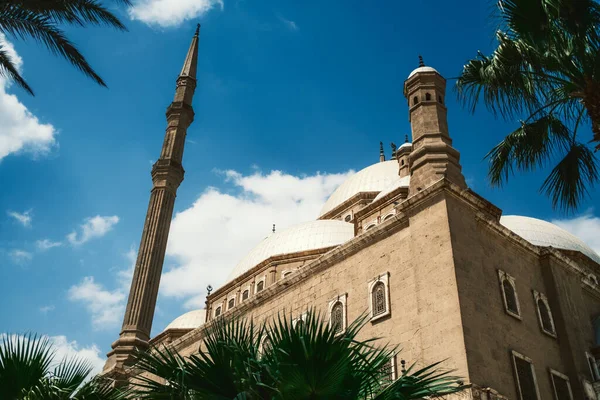 Tarihsel Minarenin Çevresinde Palmiye Ağaçları .