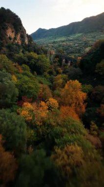 Sonbahar renkli ağaç tepelerinin FPV hava görüntüsü
