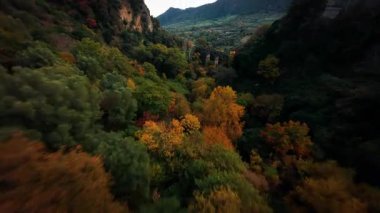 Sonbahar renkli ağaç tepelerinin FPV hava görüntüsü