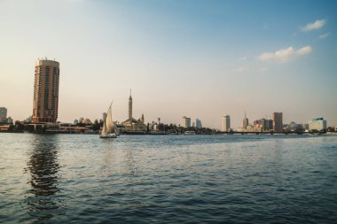 Beyaz balinalar Nil Nehri 'nde yelken açıyor..