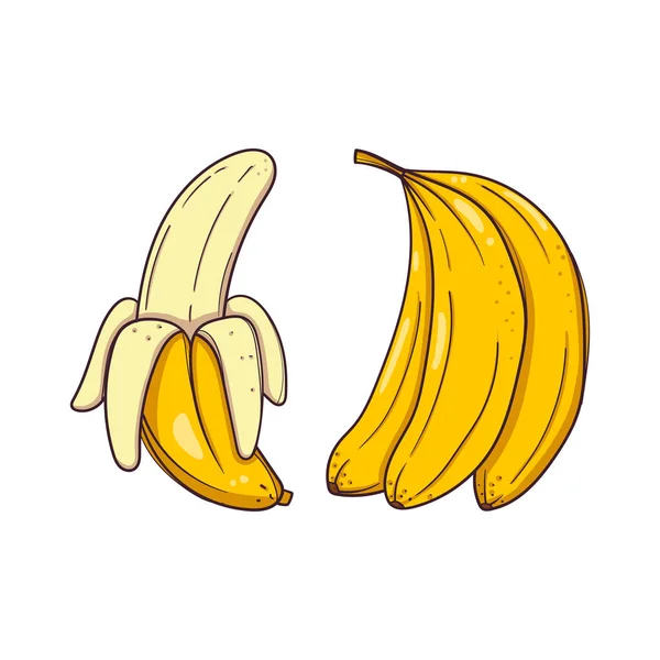 Bananas desenhadas à mão sobre fundo branco — Vetor de Stock