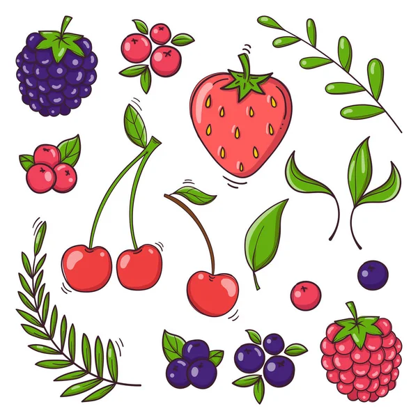 Hand drawn berries set on a white background — Stock Vector
