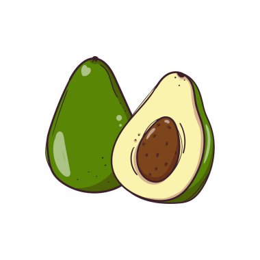 Avokadonun yarısını beyaz arka planda izole edilmiş tohumlarla çizdim.