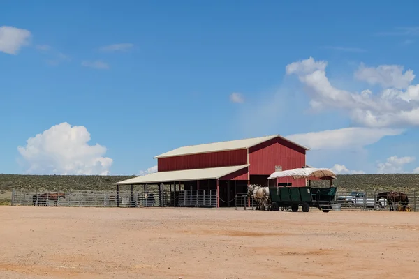 グランドキャニオンで Hualapai 牧場 — ストック写真