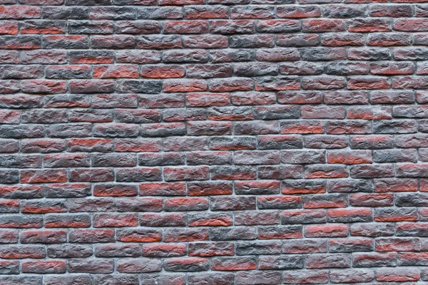 벽돌 벽의 본 — 스톡 사진