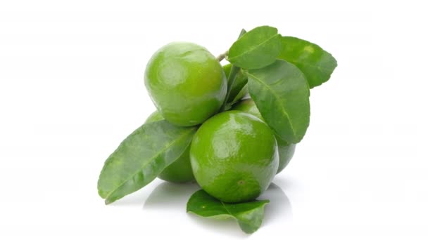 Roterend Schot Limes Met Bladeren Geïsoleerd Witte Achtergrond — Stockvideo