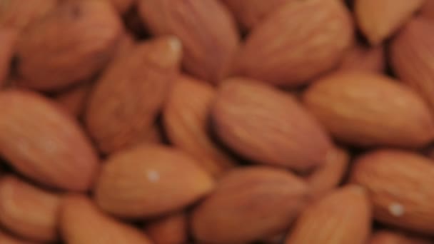 Top View Out Focus Almonds Nuts Close — ストック動画