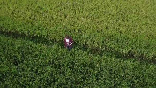 Aerial View Zoom Out Flying Asian Farmer Using Digital Tablet — 图库视频影像