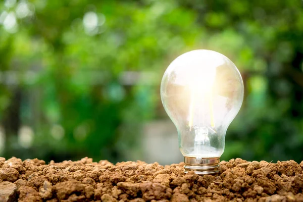 Light bulb on soil with sunset power energy concept, Energy saving.