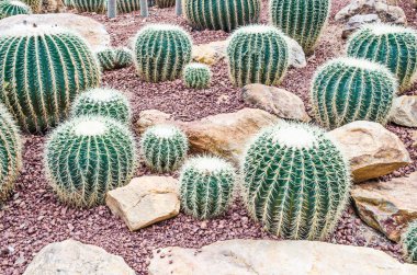 Telekomünikasyon sinyal kule mavi gökyüzü arka plan üzerinde