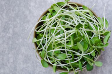 Seramik kase taze ayçiçeği lahanası.