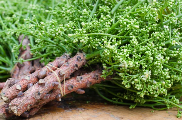 Neem orgânico da fazenda natural . — Fotografia de Stock