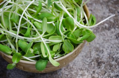 Seramik kase taze ayçiçeği lahanası.