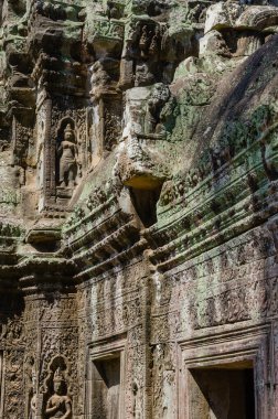 Ta Prohm Tapınağı, Kamboçya 'nın Siem Reap ilindeki Angkor Thom Alanı' ndaki tek çekici tapınaktır..