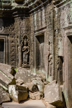 Ta Prohm Tapınağı 'ndan Apsara Stutue, Kamboçya' nın Siem Reap ilindeki Angkor Thom Alanı 'ndaki tek çekici tapınaktır..