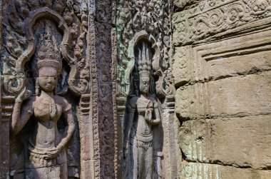 Ta Prohm Tapınağı, Kamboçya 'nın Siem Reap ilindeki Angkor Thom Alanı' ndaki tek çekici tapınaktır..