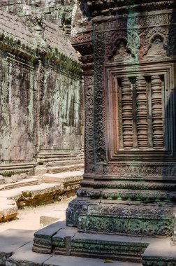 Ta Prohm Tapınağı, Kamboçya 'nın Siem Reap ilindeki Angkor Thom Alanı' ndaki tek çekici tapınaktır..
