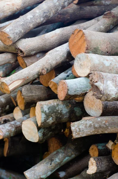 Pile Wood Sticks Firewood Used — Stock Photo, Image