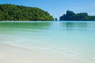 Tayland 'ın Krabi Güney Bölgesi' ndeki Phi Phi Adası 'nın Huzur Plajı.