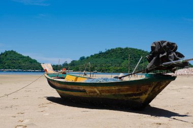 Sahildeki Orman Teknesi.