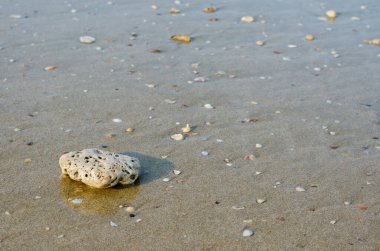 Rock on Sand Beach for Natural Fonu Kullanıldı.
