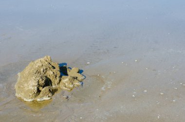 Rock on Sand Beach for Natural Fonu Kullanıldı.