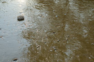 Rock on Sand Beach for Natural Fonu Kullanıldı.