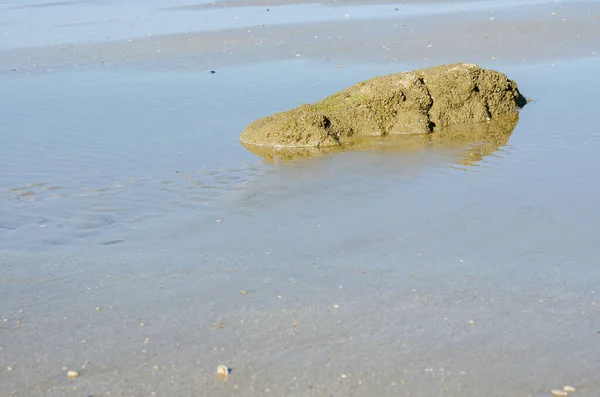 Rock Sand Beach Natural Background Used — Stock Photo, Image