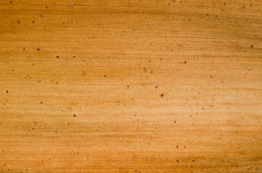 Doğal Arkaplan İçin Kurutulmuş Muz Yaprağı Detayları.