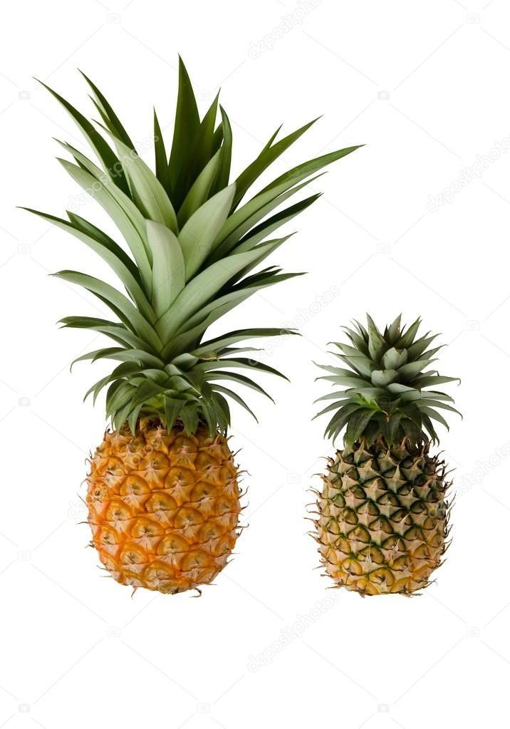 Organic Pineapple Isolated On Wthite.