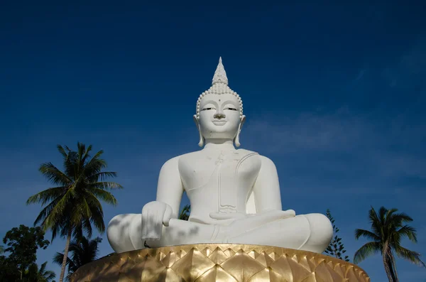 Grande statue de bouddha blanc . — Photo