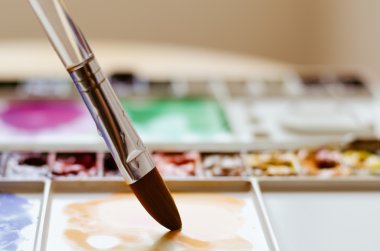 Yarı saydam Fırça ve Palet Boyası.