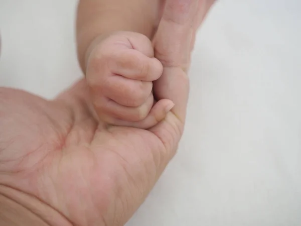 Mão Bebê Recém Nascido Uma Palma Pessoa Adulta — Fotografia de Stock