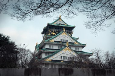 Osaka Kalesi, kış