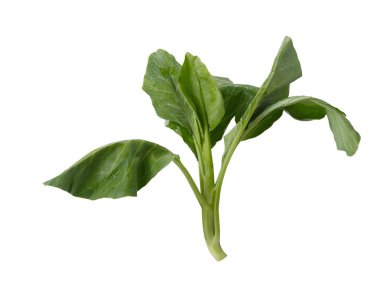 kırpma yolu beyaz zemin üzerine taze Çin brokoli