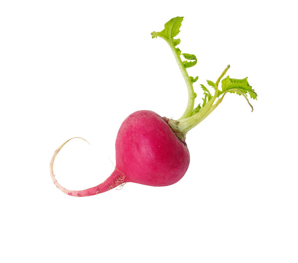 fresh beetroot on white background with clipping path