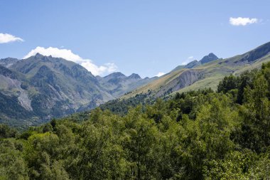 Yuvarlanan dağlar, güneşli bir öğleden sonra açık mavi gökyüzünün altında canlı yeşil ağaçların üzerinde dimdik duruyorlar..