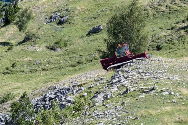 Parlak kırmızı kar tımarcısı kayalık yamaçlarda geziniyor, açık gökyüzünün altındaki güzel bir dağda arazi hazırlıyor..