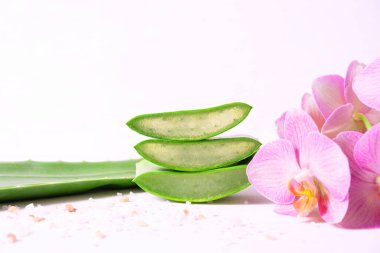 Beyaz arka planda üç sulu aloe vera ve falaenopsis orkidesi.