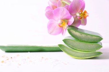 Beyaz arka planda üç sulu aloe vera ve orkide parçası.