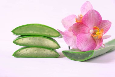 four pieces with juicy pulp, aloe vera and orchid with pink flowers on a white background clipart