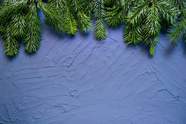 Вечнозеленые Ели Ветви Верхней Рамки Синем Текстурированном Фоне — стоковое фото