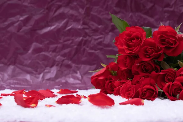 Bouquet Red Roses Rose Petals Snow Pink Background — Stock Photo, Image