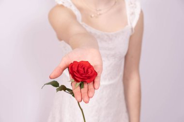 Elbiseli genç bir kız elinde beyaz arka planda kırmızı bir gül tutuyor.