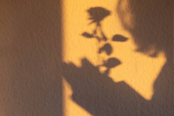 yellow shadow from rose flower and girl silhouette on the wall in the morning