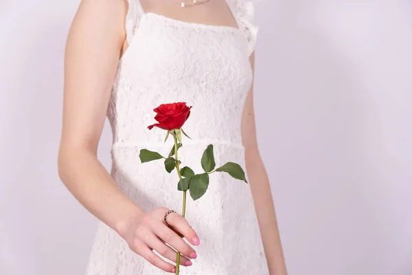 Young Girl Dress Holds One Red Rose Her Hand White — Stock Photo, Image