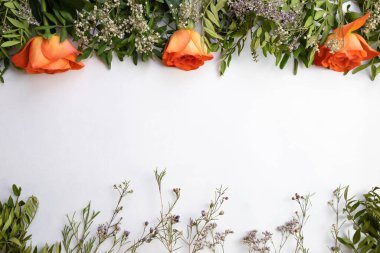 turuncu güller üst ve beyaz arkaplan dekorasyonu, üst manzara