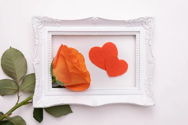 Live Pale Orange Rose White Frame Photo White Background Top — Stock Photo, Image